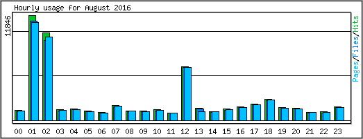 Hourly usage